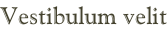 Vestibulum velit